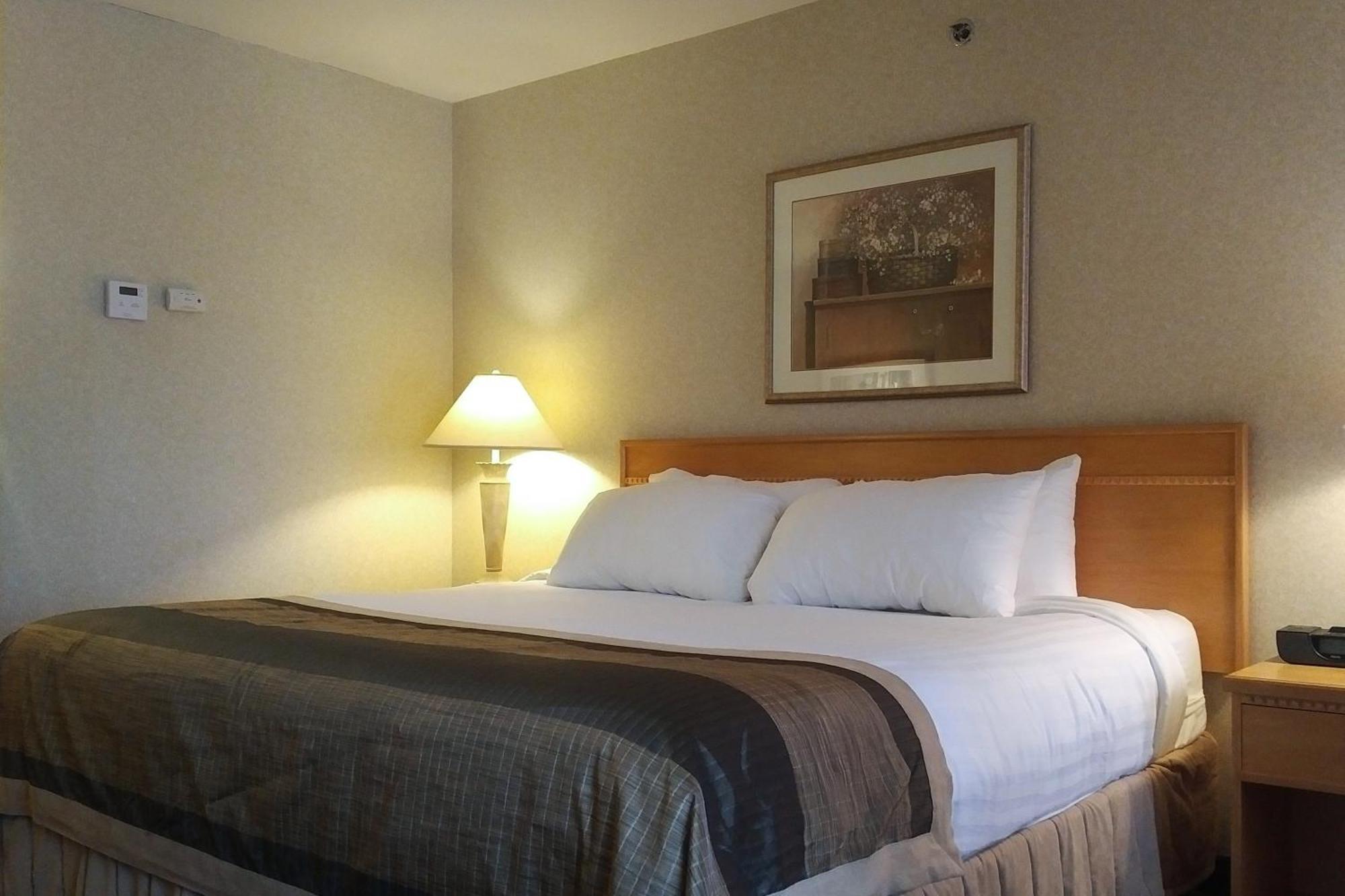 Flamingo Hotel Medicine Hat Bilik gambar